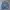 jacket denim jeans tracker luxury by understar photo 2