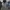 Avirex Spell Out Flight Jacket Military Style photo 1