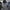 Avirex Spell Out Flight Jacket Military Style