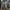 Avirex Spell Out Flight Jacket Military Style photo 3