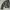 Glad News Y2K Avant Garde Leather jacket Wanita black photo 2