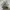 Salomon XT-6 Adv For Dover Street Market DSM ‘Silver’  photo 2