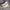 Converse Allstar Hi White Original photo 2