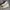 Converse Allstar Hi White Original