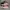 Vans Old Skool Chekerboard Red Original photo 2