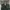 Hermes Birkin 30, Vert Cypress color, GHW, Stamp D (2019) photo 6