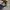 Vans Authentic VR3 Chekerboard Original photo 5