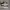Vans Authentic VR3 Chekerboard Original photo 2