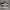Vans Authentic VR3 Chekerboard Original