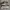 Vans Authentic Grey Original photo 2