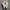Converse 70s Low White Original photo 4