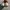 Converse 70s Low White Original photo 5