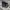 Vintage Oakley Software Coach Jacket photo 9