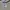 Adidas Streetwear Casual Sweater Pria white black photo 4
