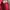 Los Angeles Apparel Vintage Casual Parka Pria red photo 8