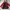 Los Angeles Apparel Vintage Casual Parka Pria red photo 2