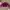 Y2K Grunge Denim jacket Wanita burgundy photo 1