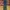 Item(s): B4LM4IN PARIS BIKER SKINNY DENIM PANTS photo 1