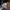 Nb 740 brown beige photo 2