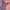 Atasan Grunge, Goth, Vintage, Morikei, Fatalframe
