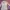 Atasan Coquette, Vintage, Y2k, Milkmaid