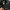 The North Face Luxury Cosplay Puffer jacket Pria black photo 3