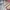 atasan coquette, morikei, goth, polkadot photo 1