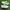 Vintage Reebok Club C85 White Green Original photo 1