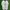 Vintage Reebok Club C85 White Green Original photo 6
