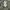 OLD NAVY KIDS MILITARY ARMY PARKA JACKET | OUTERWEAR | JAKET photo 3