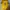 Jersey Home B.Dortmund 2021/2022 photo 2