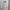 DIALLE LAISERR GYARU DRESS HOODIE photo 5