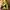 The North Face Gorpcore Track jacket Pria black yellow photo 2