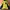 The North Face Gorpcore Track jacket Pria black yellow photo 1