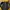 The North Face Gorpcore Track jacket Pria black yellow photo 6