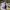 Nike Streetwear Skater Sneakers Pria tan black photo 7