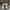 Nike Streetwear Skater Sneakers Pria tan black photo 2