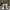 Nike Streetwear Skater Sneakers Pria Tan Black