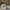 Nike Streetwear Skater Sneakers Pria tan black photo 1