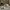 Nike Streetwear Skater Sneakers Pria tan black photo 3