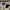 Nike Streetwear Skater Sneakers Pria tan black photo 6