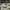 Nike Streetwear Reworked Sneakers Pria tan black photo 5