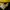 Nike Sportswear Track jacket Pria black yellow photo 3