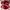 Nike Vintage Sportswear Sneakers Pria burgundy white photo 7