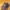 Rare Snapback 5 Panel STUSSY X NEW ERA 2013
