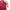 Streetwear Sportswear Windbreaker Pria tan red photo 3