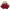 Streetwear Sportswear Windbreaker Pria tan red photo 2