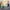 VANS BMX X GT DYNO FACTORY RARE photo 2