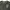 Vanson leather camo skull longsleeve photo 4