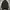 Unknown asymmetric goth puffer jacket with lambskin sleeve photo 8